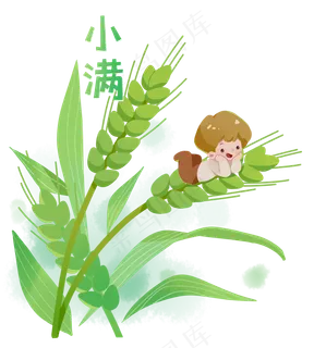 小满节气卡通图片   小满节气卡通图片