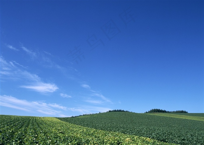 蓝天白云风景干净摄影图片