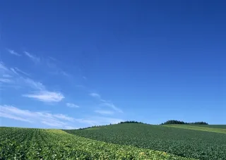蓝天白云风景干净摄影图片