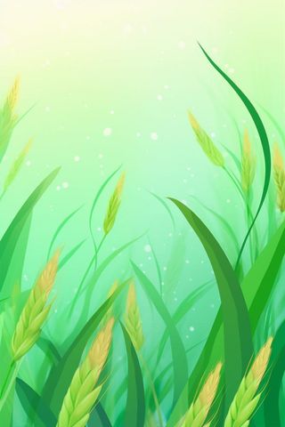绿色小麦扁平海报