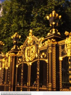 铁艺门上的装饰