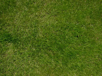 高清绿色草坪草地