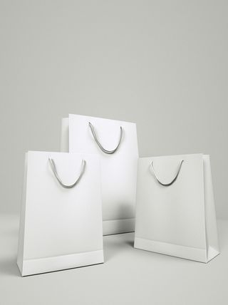 手提袋样机贴图包装logo样机