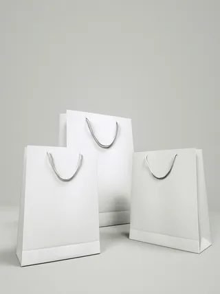 手提袋样机贴图包装logo样机