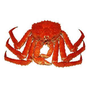 免抠螃蟹摄影实物图片