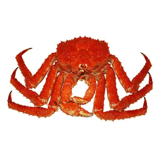 免抠螃蟹摄影实物图片 免抠螃蟹摄影实物图片