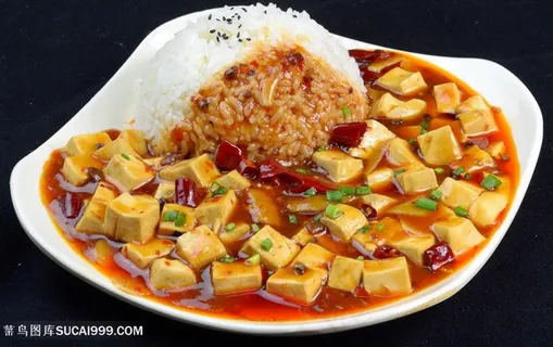 麻婆豆腐盖浇饭 麻婆豆腐盖浇饭