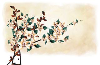 橘红色橙色唯美浪漫梦幻风栀子花水墨花插画插图名片海报背景图片素材