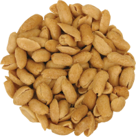 115_peanut_PNG4