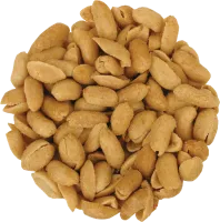 115_peanut_PNG4