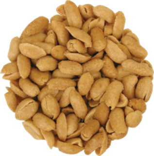 115_peanut_PNG4