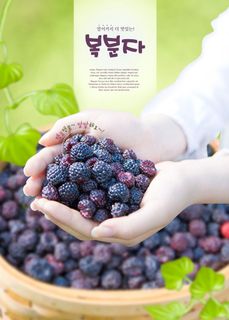 韩国式水果素材