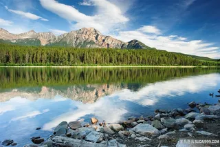 森林山水风景图片