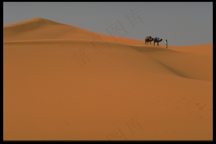 沙漠风光 11
