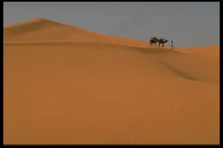 沙漠风光 11