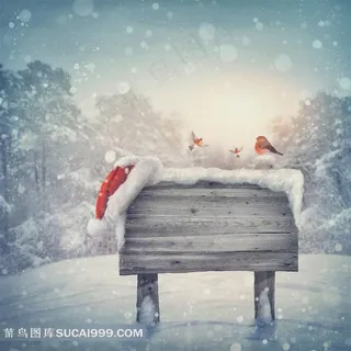 圣诞节在雪地上的提示牌