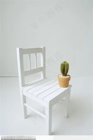 简单生活-白色椅子上的仙人掌