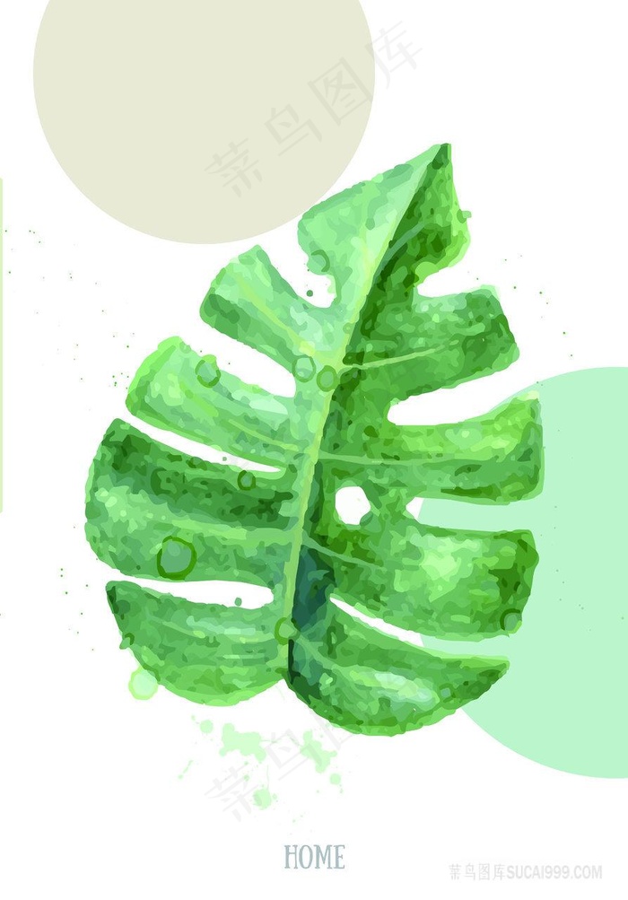 植物树叶水彩插画