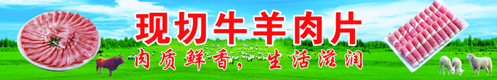 牛羊肉片 牛羊psd模版下载