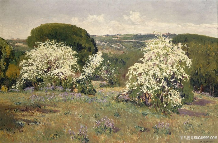 贝尔韦特-伊莫雷-奥雷利亚诺-德-埃斯皮诺斯-昂弗洛尔