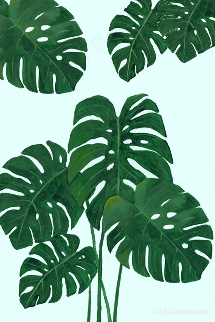 绿叶植物水彩插画