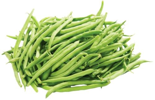 绿豆 PNG免抠(500x324)