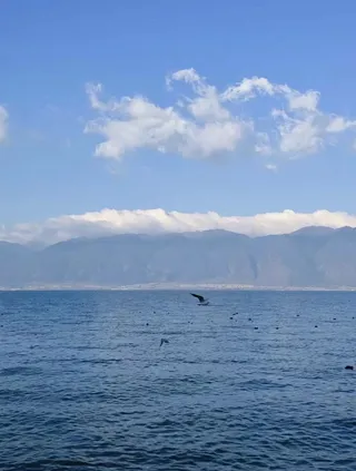 蓝白色 雄阔清远风夏季旅游云南记