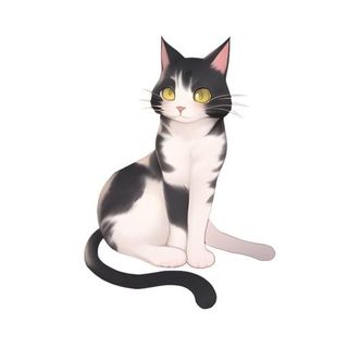 猫宠物动物免抠