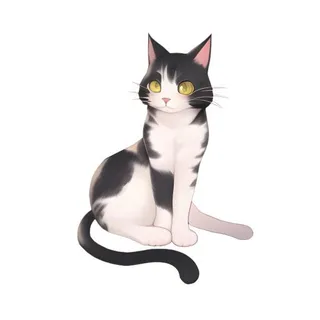 猫宠物动物免抠