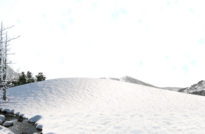 雪景冬天里