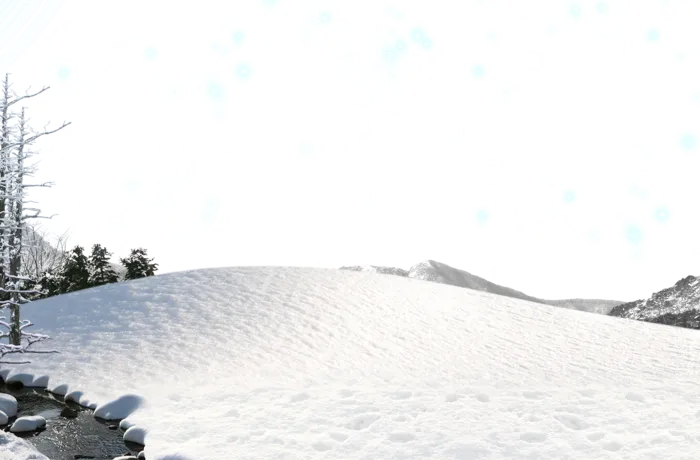 雪景冬天里