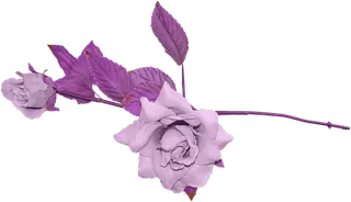 鲜花玫瑰免扣素材