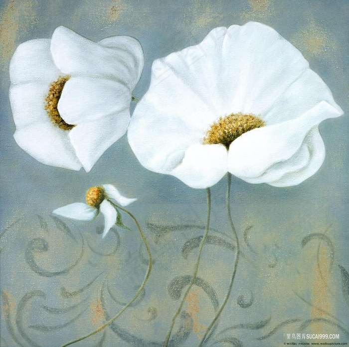 白色花卉抽象油画