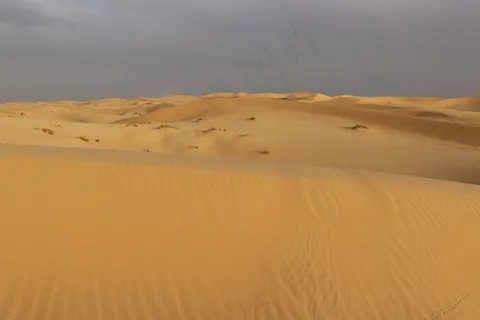 荒芜沙漠景观图片
