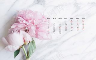 2月日历淡雅背景图片