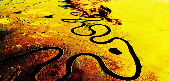 具有强烈感染力