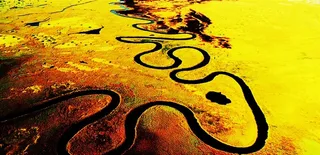 具有强烈感染力