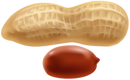 免扣png花生 