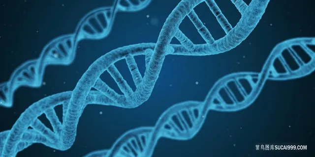 医学科技DNA双螺旋图片 医学科技DNA双螺旋图片