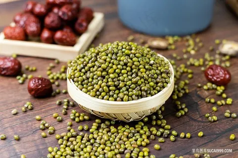 小绿豆摄影图片