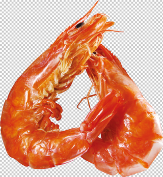 红色大虾免扣素材