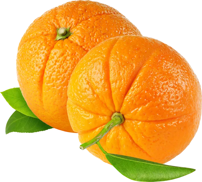 橘子免抠素材 (27)
