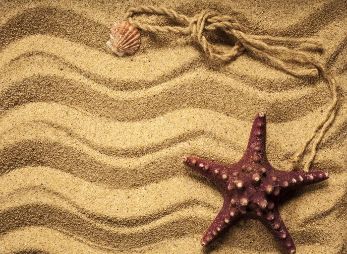 沙滩海星背景图片