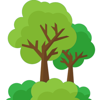 树木树枝树叶免扣素材