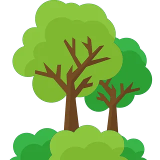 树木树枝树叶免扣素材