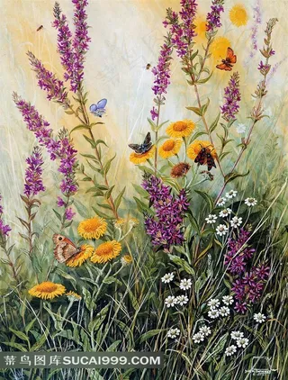 花草昆虫绘画图片