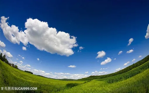 蓝天白云草地美景 蓝天白云草地美景