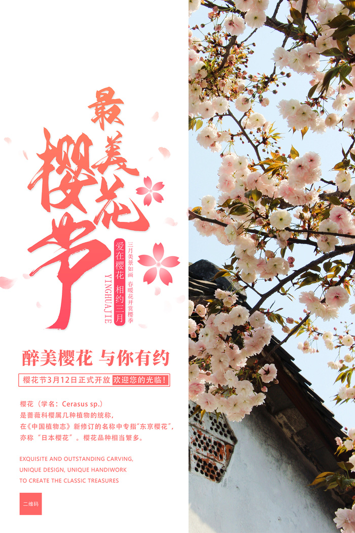创意简洁风格创意樱花节海报