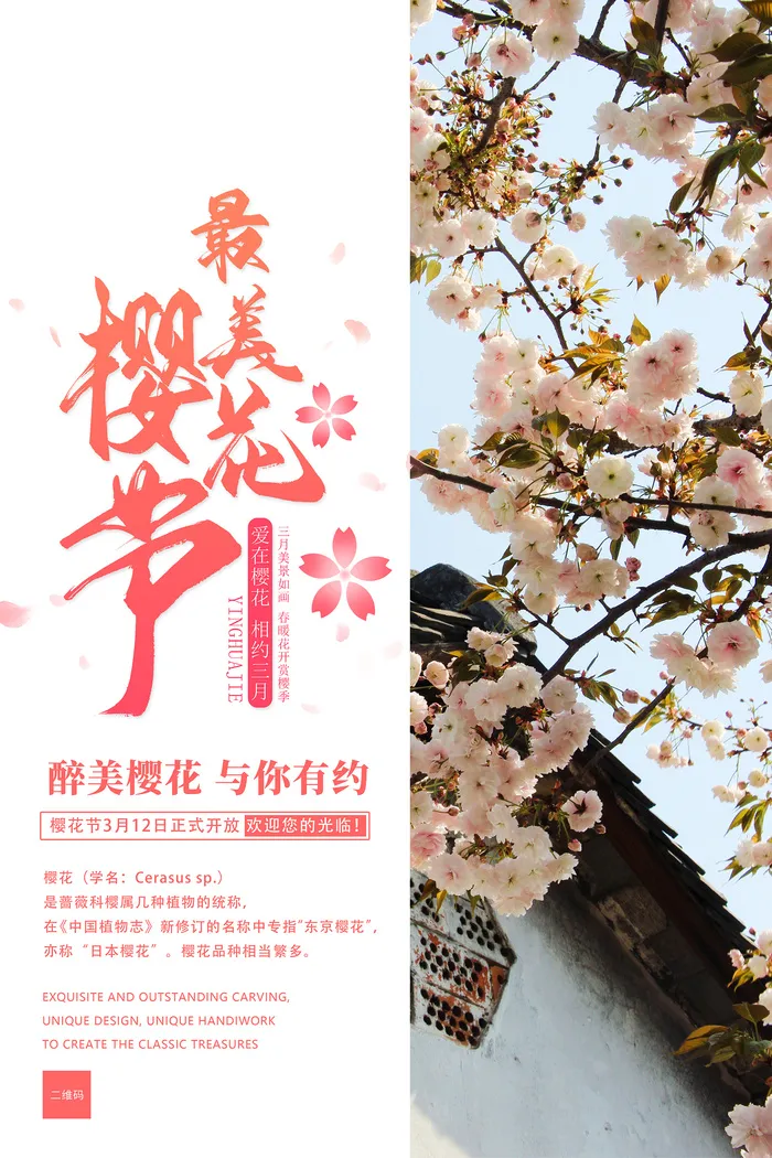 创意简洁风格创意樱花节海报