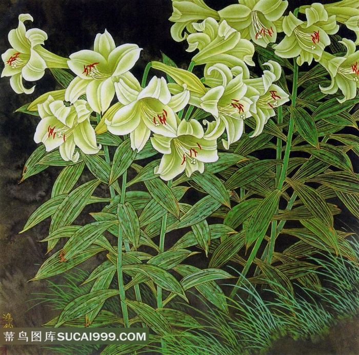 百合花花鸟画素材